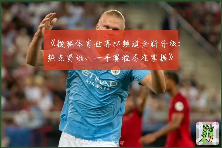 《搜狐体育世界杯频道全新升级：热点资讯、一手赛程尽在掌握》