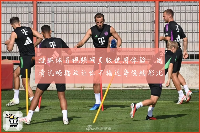 搜狐体育视频网页版使用体验：高清流畅播放让你不错过每场精彩比赛