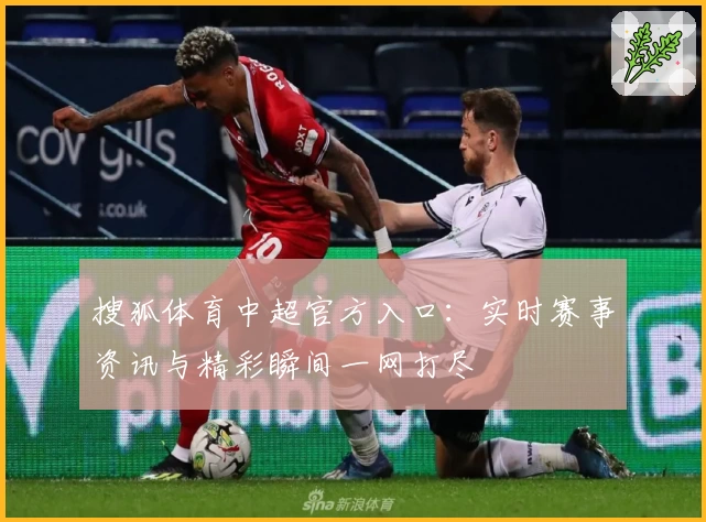 搜狐体育中超官方入口：实时赛事资讯与精彩瞬间一网打尽