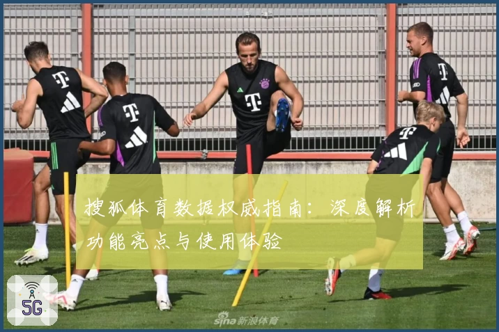 搜狐体育数据权威指南：深度解析功能亮点与使用体验