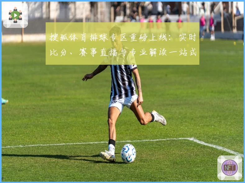 搜狐体育排球专区重磅上线：实时比分、赛事直播与专业解读一站式服务