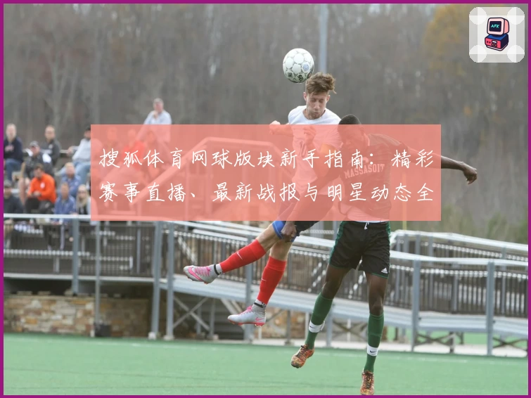 搜狐体育网球版块新手指南：精彩赛事直播、最新战报与明星动态全解析